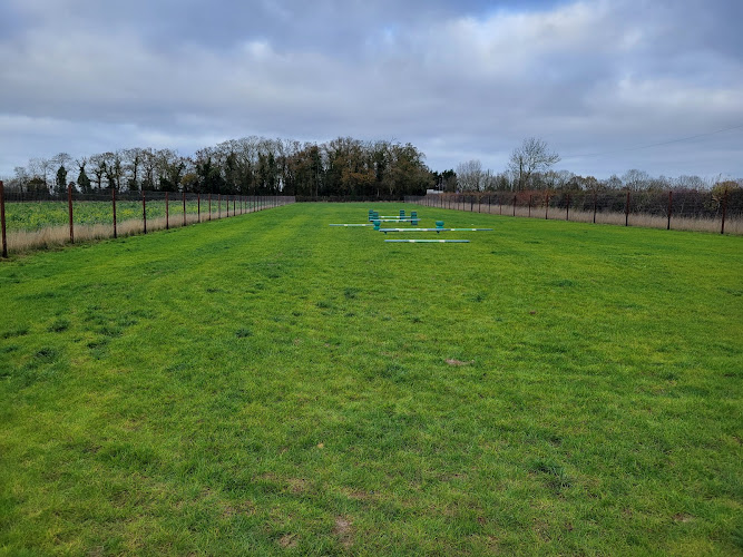 Northampton Dog Walking Field in Wellingborough