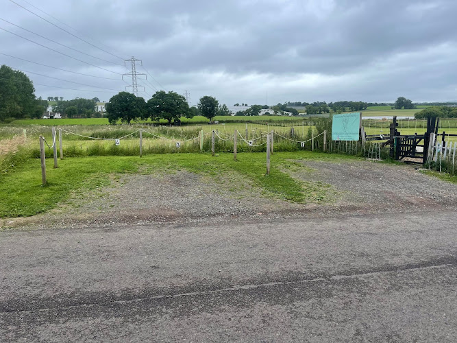 Northbank Secure Dog Field, Northbank, Longforgan in Perth and Kinross