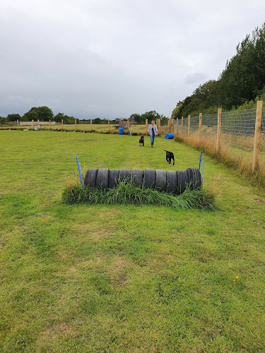 Northumberland Canine Centre (Dog Field) Felton in Northumberland