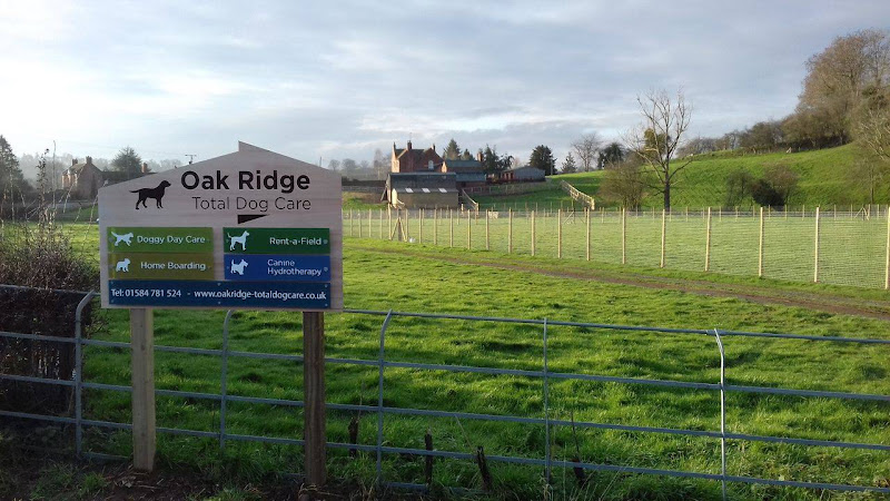 Oak Ridge Total Dog Care Dog Field, Tenbury Wells in Worcestershire