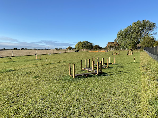 Odin Valley Secure Dog Field, East Boldon in South Tyneside