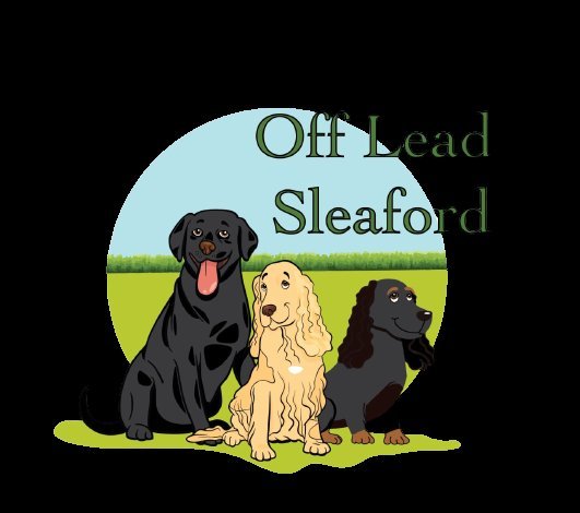 Off Lead, Dog Field, Sleaford in Lincolnshire