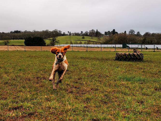 Otherton Farm Dog Park in Kidderminster