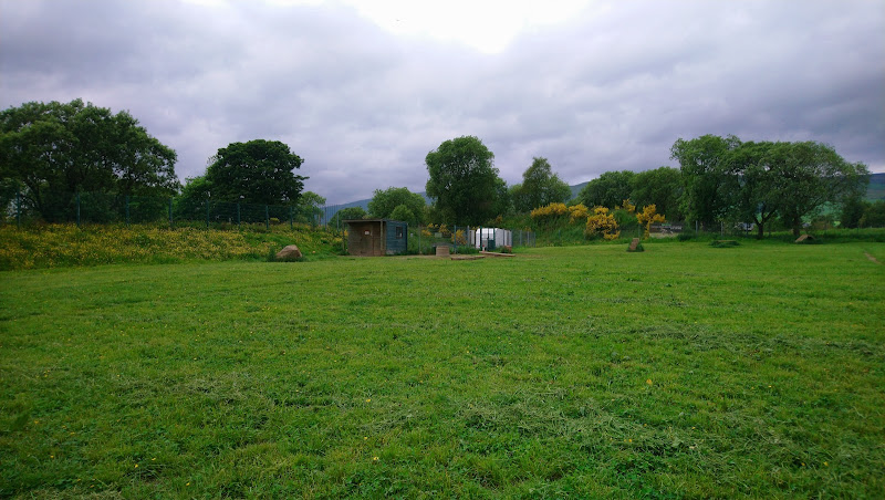 Out n Safe Dog Field, Glasgow in North Lanarkshire