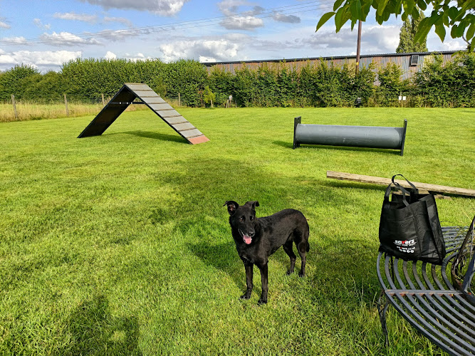 Paddock for Paws, Kings Langley in Luton
