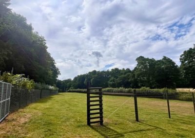 Panpwnton Dog Park -Secure Field in Knighton, Powys in Knighton