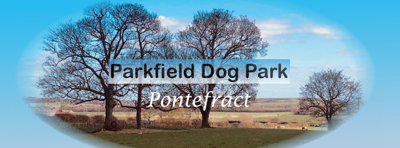 Parkfield Dog Park, Pontefract in Castleford