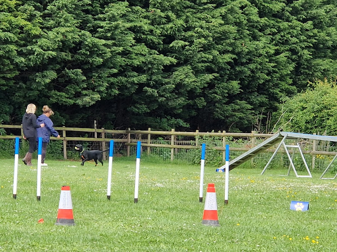 Paw Dog Training - Dog Field, Romney Marsh in Kent