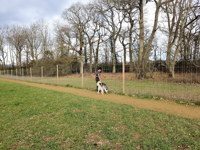 Paw Paddock - Secure Dog Field, Horsham in Warnham
