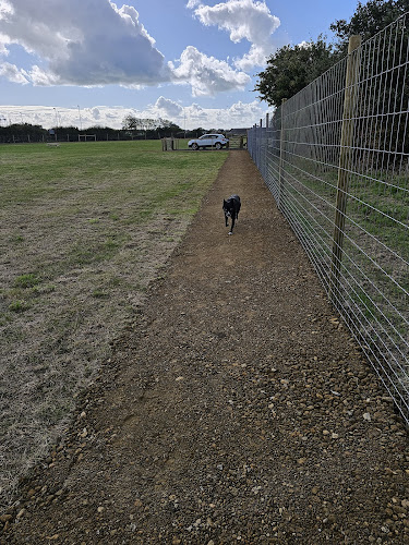 Paw Paddock - Secure Dog Field, Worthing in Goring-by-Sea