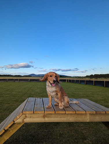 Pawmill Dog Park, Kinross in Kinross
