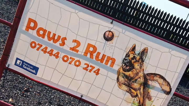 Paws 2 Run Dog Field, Eastriggs in Eastriggs