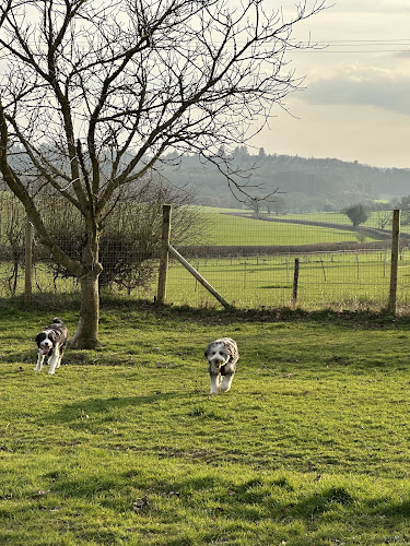 Paws Meadow, Alresford in Hampshire