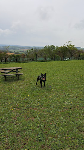 Paws n Hooves Dog Field, Callington in Cornwall