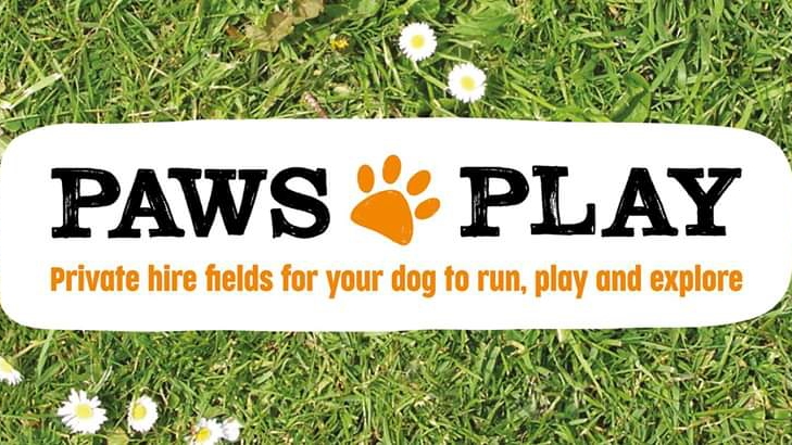 Paws Play Secure Dog Fields, Sedgefield in County Durham