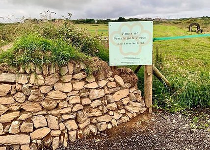 Paws at Presingoll Farm, St Agnes in Goonbell