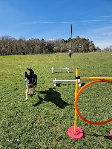 Pawsbythepark.co.uk in Derby