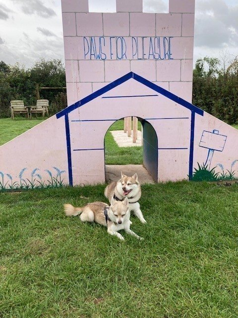 Paws for Pleasure, Secure Dog Exercising in Devon