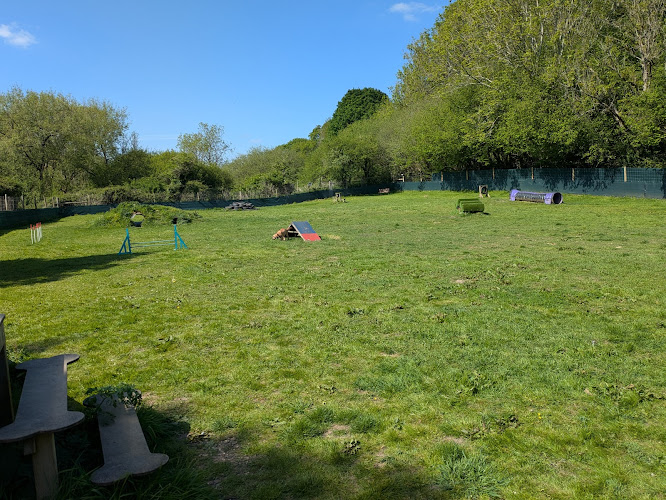Pawsome Fun Paddock in Yeovil