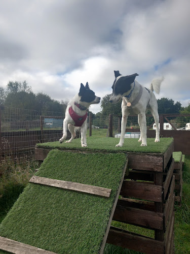 Pawsome Park Dog Parks, Stanley in Newcastle