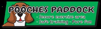 Pooches Paddock in Exeter