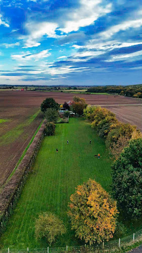 Poochie Park, Dog Field, Sherburn in North Yorkshire