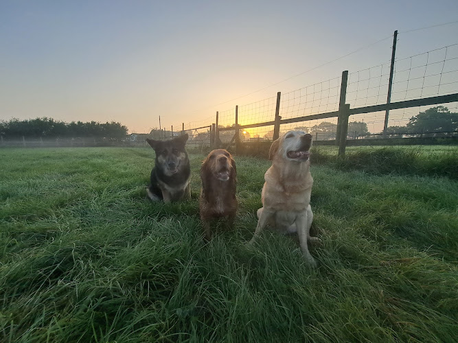 Poppy’s Dog Park, Blatchbridge in East Woodlands