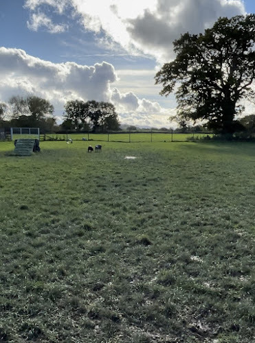Rowton Grange Secure Dog Fields, Shrewsbury in Shrewsbury
