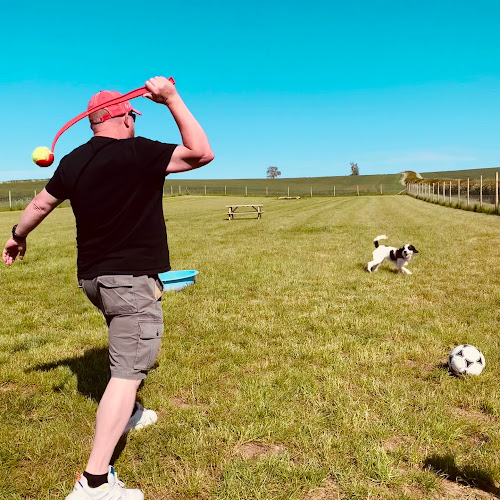 Run Free at Freeby Dog Field, Melton Mobray in East Midlands