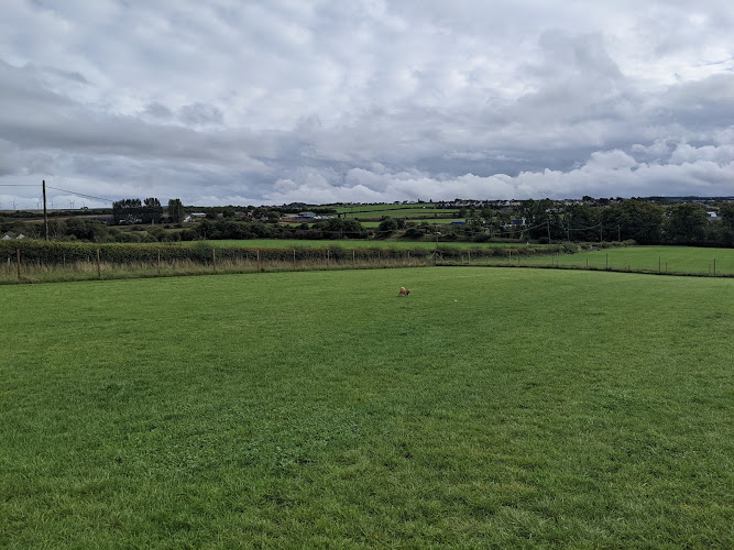 Run Free Dog Fields - Beech Field, Carluke in South Lanarkshire