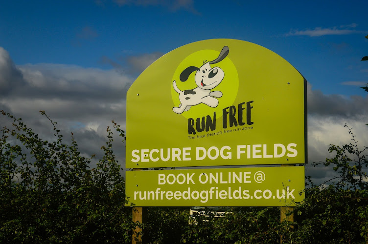 Run Free Dog Fields - Country Field, Cambuslang in South Lanarkshire