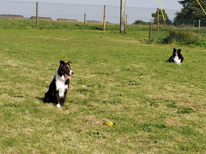 Run Free Dog Fields - Kip Field, Inverkip in Inverclyde