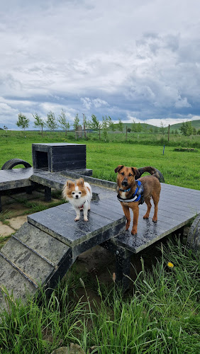 Run Free Dog Fields - Minto Field, Hawick in Scottish Borders