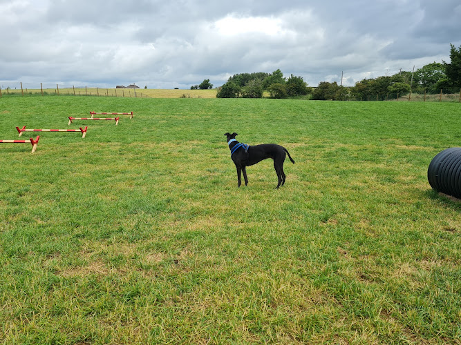 Run Free - Whitburn Longridge in Edinburgh and Lothian