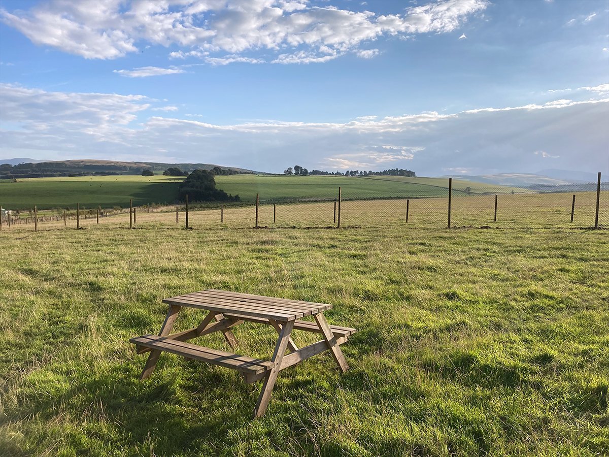Run Free Dog Fields - Elsrickle Field, Biggar in South Lanarkshire