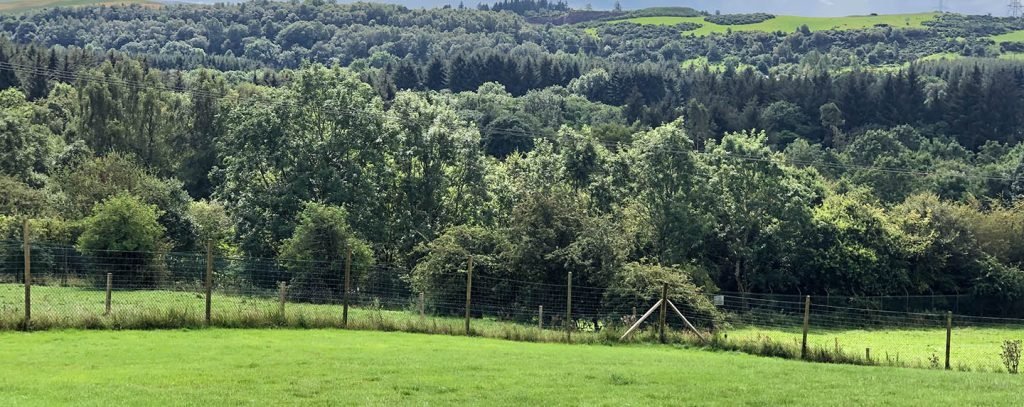 Run Free Dog Field- Newton Field, South Queensferry in West Lothian