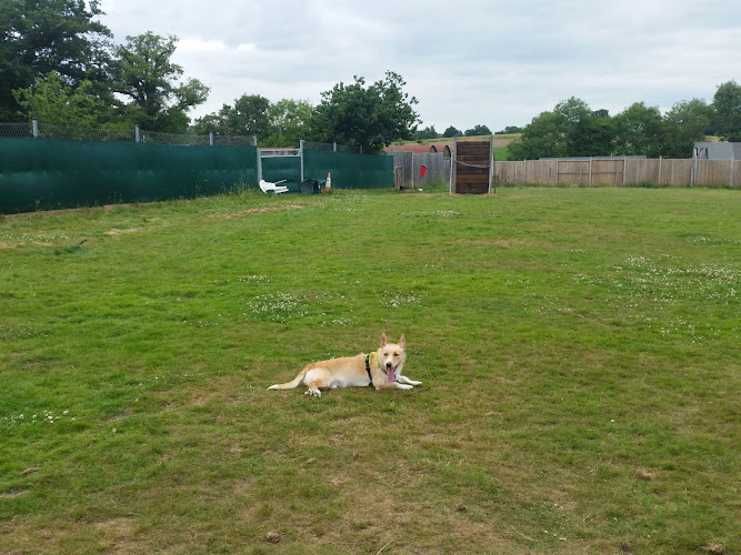Ryslip Dog Agility Barn, Bracknell in Bracknell Forest