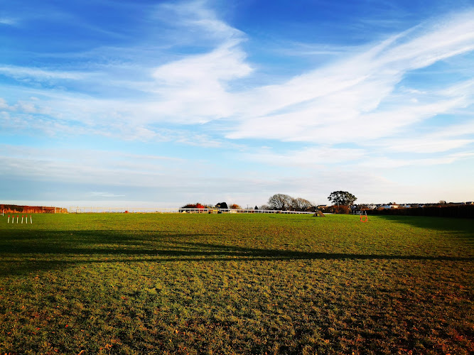 Safe Hounds Dog Park, Torrington in Bideford