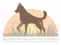 The Oaks at Secure Dog Walking Field Surrey in Crawley