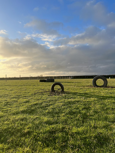 SecurePups North Muskham Dog Field in Newark and Sherwood