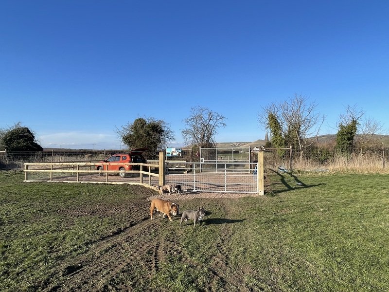 Seven acres dog field in Devizes