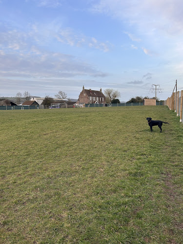 Sheepway Secure Dog Field in Bristol