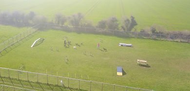 Sherston Doggy Daycare in Malmesbury