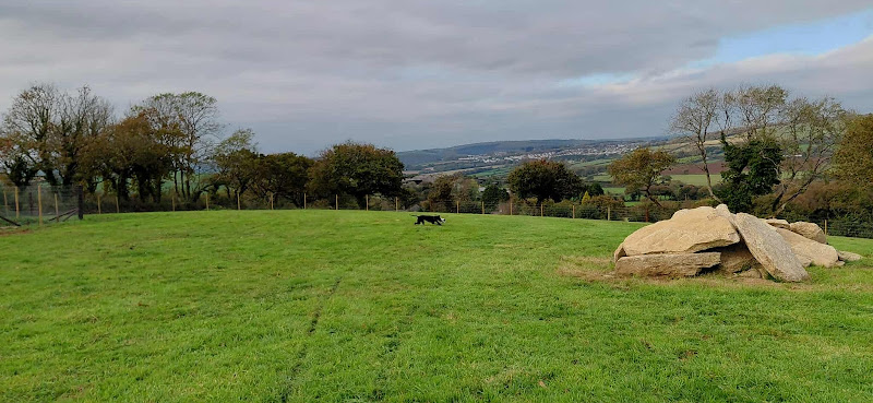 Slade Park Secure Dog Walking Field, Bodmin in Bodmin