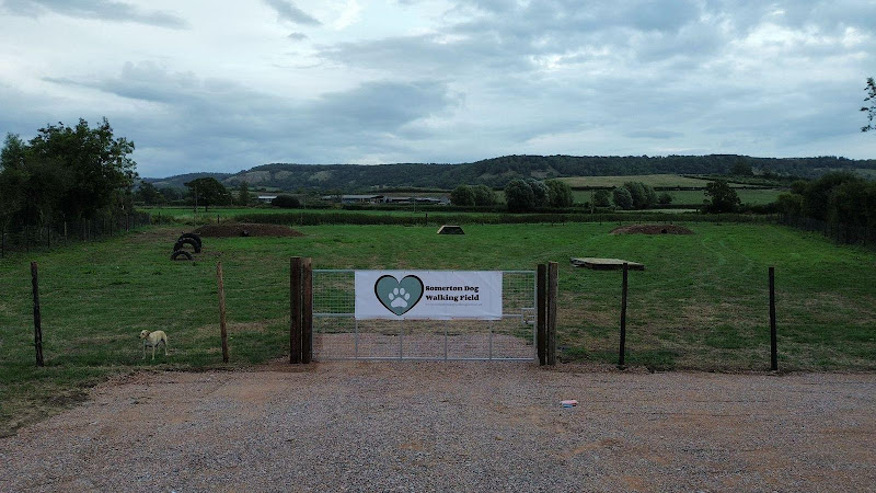 Somerton Dog Walking Field, Somerton in Yeovil
