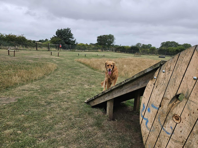 South Acres Dog Field, Thirsk in Yorkshire and the Humber