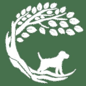 South Acres Dog Fields Darlington in Hurworth-on-Tees