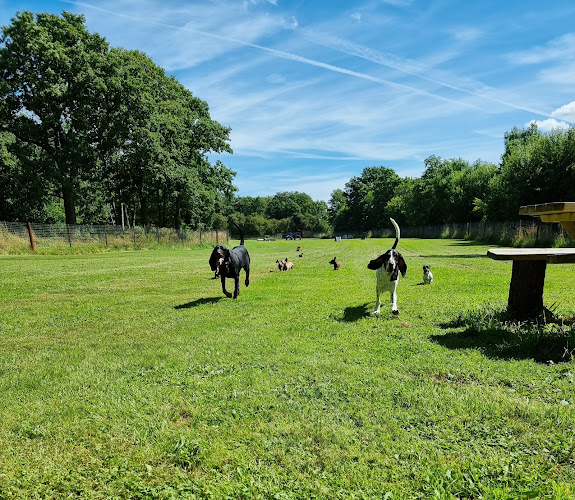 Southwell Secure Dog Field, Newark in Newark-on-Trent