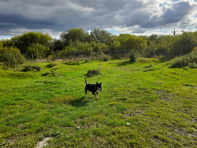 St James’ Bark Secure Dog Field, Newcastle upon Tyne in Newcastle upon Tyne
