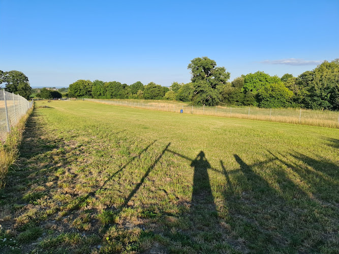 Staple Dogs Secure Field, Taunton in Somerset